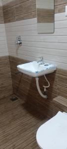 a bathroom with a white sink and a mirror at Hiran Holidays in Sasan Gir