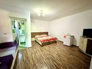 a bedroom with a bed and a television in it at Pensiunea Bianca in Corbu +43 photos