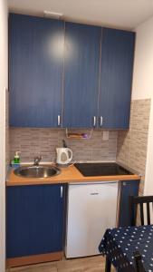 Kuchyň nebo kuchyňský kout v ubytování Apartmani Maria - Studio 3