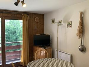 TV a/nebo společenská místnost v ubytování Duplex cosy avec balcon sud et garage à Saint-Jean-d'Aulps - FR-1-573-58