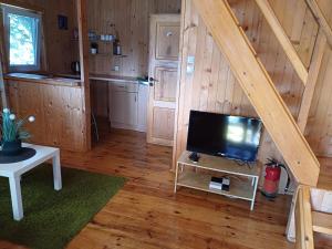 TV a/nebo společenská místnost v ubytování Domki Pirat