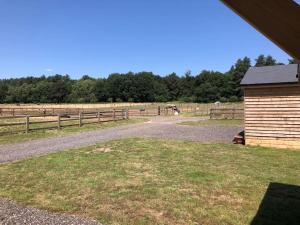a building next to a field with a fence at Nightjar Lodge - Adults Only in Lackford +10 photos
