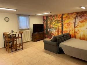 TV a/nebo společenská místnost v ubytování Scorcio d autunno