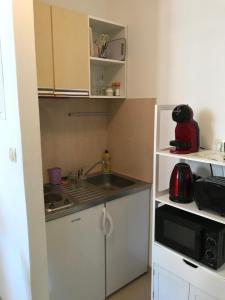 Kuchyň nebo kuchyňský kout v ubytování Studio Apartman LENESTA