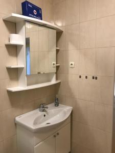 Koupelna v ubytování Studio Apartman LENESTA