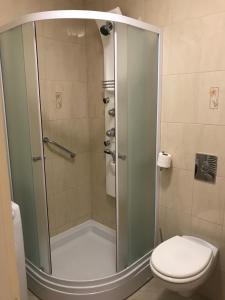 Koupelna v ubytování Studio Apartman LENESTA + 30 fotografií