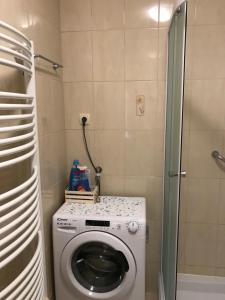 Koupelna v ubytování Studio Apartman LENESTA