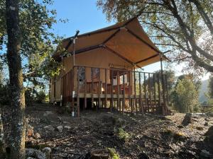 a rendering of a cabin in the woods at Lodge A NASSA in Olivese