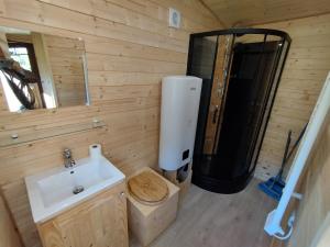 Saint-Lumine-de-Coutaisroulotte tout confort à la ferme 2的带水槽和淋浴的浴室