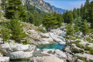 Φυσικό τοπίο κοντά σε αυτό το διαμέρισμα