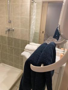 een badkamer met een douche en een handdoek op een toilet bij Vue Sur Green in Levernois +8 foto's