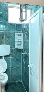 a green tiled bathroom with a toilet and a shower at Hostel Flash in Ulcinj