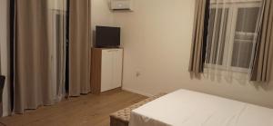 Μια τηλεόραση ή/και κέντρο ψυχαγωγίας στο Apartman Mihailo +5 φωτογραφίες