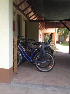 two bikes are parked in a building at Öregtölgy Vendégház in Csongrád +37 photos