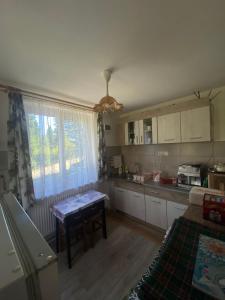 a kitchen with a table in the middle of it at Cabana veverita in Sîntimbru-Băi