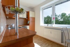 Η κουζίνα ή μικρή κουζίνα στο Apartmán Na Rozhledně