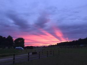 a sunset in a field with a fence in a field at Nightingale Lodge - Adults Only in Lackford