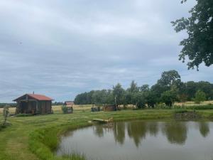 Příroda nedaleko penzionu + 12 fotografií