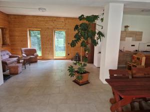 a living room with a plant in the middle at Kyprův mlýn in Knínice