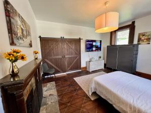 TV a/nebo společenská místnost v ubytování Skyline Retreat Spacious Elegance Queen Suite 1 City Views