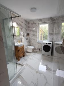 a bathroom with a toilet and a sink and a shower at Apartamenty Lubkowo in Lubkowo