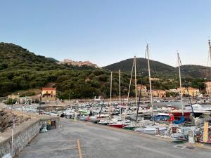 a bunch of boats are docked in a marina at Medioevo Mare in Pisciotta +24 photos