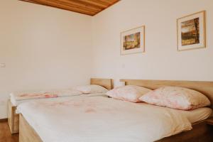 Fotografie z fotogalerie ubytování Penzion Fořtovna v destinaci Častrov