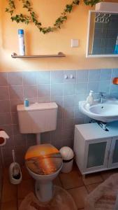a bathroom with a toilet and a sink at Ferienhaus Insel Rügen in Glowe