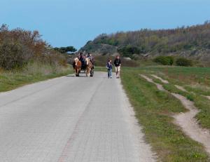 a group of people riding on a horse drawn carriage at Ferienhaus Insel Rügen in Glowe +8 photos