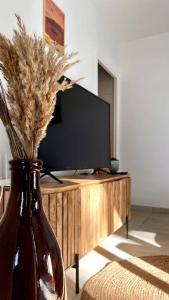TV a/nebo společenská místnost v ubytování Le Mika House