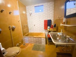 a bathroom with a sink and a shower and a toilet at Casa Bizzacchi Pinhal in Espirito Santo Do Pinhal