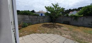 a tree in a yard next to a wall at Maison Hortensias Fromentine 8 pers près de la plage in La Barre-de-Monts