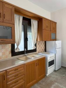 Η κουζίνα ή μικρή κουζίνα στο Valia House Thassos