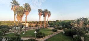 an aerial view of a park with palm trees at Villette di Torre Inserraglio in Nardò
