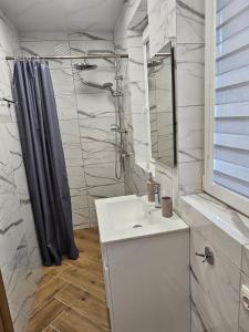 een badkamer met een wastafel en een douche bij Apartmens LORETA in Šventoji +21 foto's