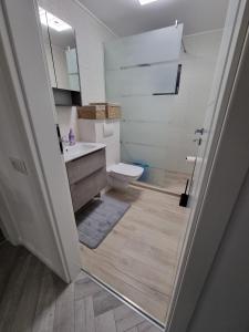 une salle de bains avec toilettes, lavabo et douche dans l'établissement Davinci Apartment, à Sibiu 14 autres photos
