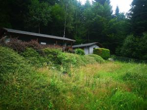 a house in the middle of a field of grass at Śniegocinka 2 in Brenna