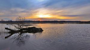 Peisaj natural din apropierea acestui apartament