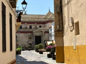 an alley in an old building with potted plants at Casa Yaye Centro Écija in Écija