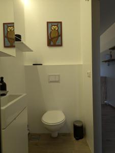 a white bathroom with a toilet and a sink at Small cabin in the countryside in Selfoss +11 photos
