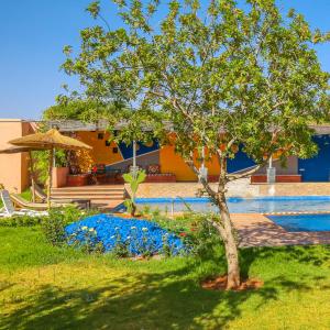 a tree in a yard next to a swimming pool at Villa Kasbah in Marrakech