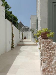 a hallway of a house with potted plants on a wall at Montesanto 60 Suite & Relax Alberobello in Alberobello