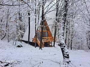 a cabin in the woods with snow on the trees at CabanaAframe in Curtea de Argeş +18 photos