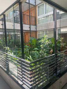 a window view of a garden in a building at Dolce Apartment in Buenos Aires