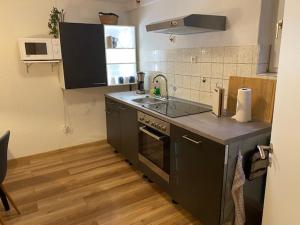 una cocina con fregadero y estufa horno superior en Niederfischbach Ferienwohnung, en Niederfischbach