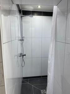 una ducha con puerta de cristal en un baño en Niederfischbach Ferienwohnung, en Niederfischbach