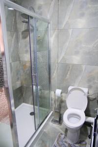 a bathroom with a toilet and a shower at Apartament Panorama Baile Felix in Baile Felix +11 photos