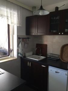 Kuchyňa alebo kuchynka v ubytovaní Holiday Home Anja