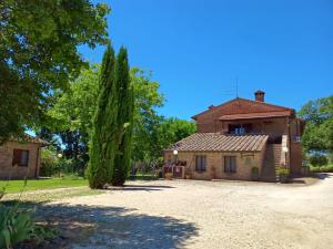 an old house with a tree in front of it at Casale dell'Assiolo Bed and Breakfast in Castiglione del Lago
