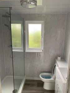 a bathroom with a shower and a toilet and a window at Tolroy Manor - 84 Strawberry Hill in Hayle
